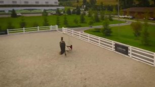 Пацанки: Соня падает с коня