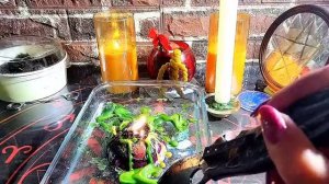 ?Убрали крест♣️ c Денежного канала! и все деньги мира будут твои, только не сиди?!