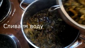 Армянский салат из Авелука  конский щавель
