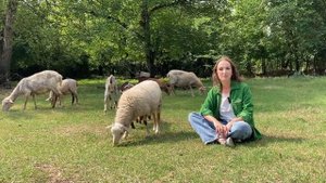 Белый дорпер. Особенности породы.