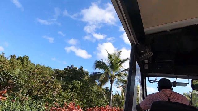 HELLO WITH COCOCAY. ROYAL CARIBBEAN . HARMONY OF THE SEAS JANUARY 1 2022. смотреть онлайн