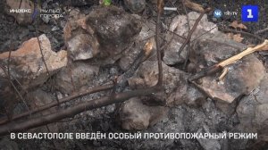 В Севастополе введён особый противопожарный режим