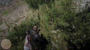 Сьерра невадский толсторог самец (sierra nevada thick horned male) Red Dead Redemption 2