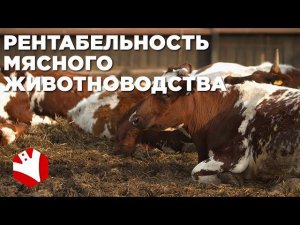 Рентабельность ферм | Молочное и мясное животноводство | КФХ Герефорд