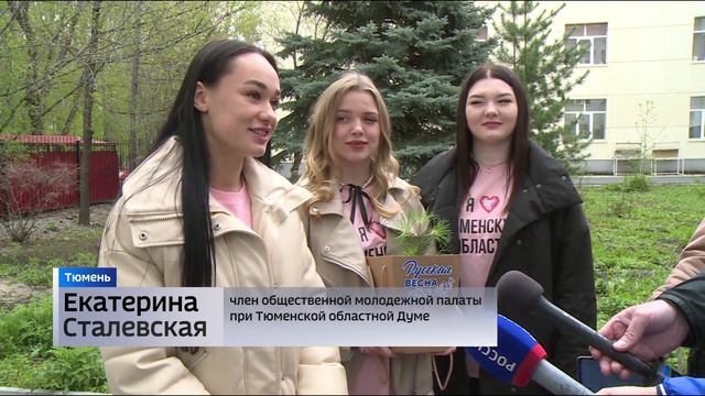 Крымская сосна украсит аптекарский сад Тюменского медуниверситета