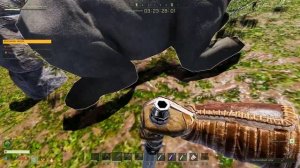 ICARUS Как добыть белого медведя на начальных уровнях