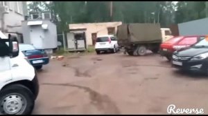 собака и кега наоборот