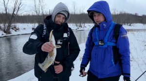 Ловля щуки на малых реках на воблеры. Правильный твичинг - Fishing Today