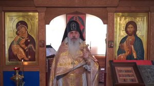 Сокращение  населения - почему ?
