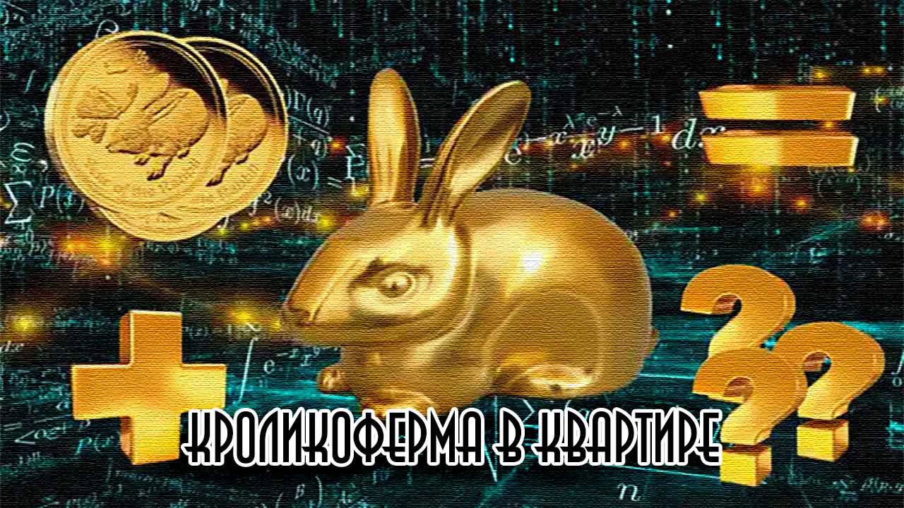 кроликоферма в квартире