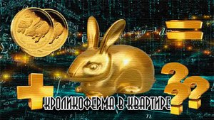 кроликоферма в квартире
