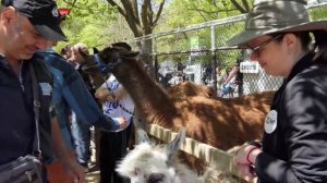 Toronto High Park is Largest Park in GTA - Must Visit in The Summer - High Park Zoo for Kids.