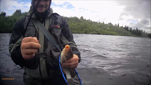 Охота за хариусом. Коми. Начинает брать еще лучше... смотреть онлайн