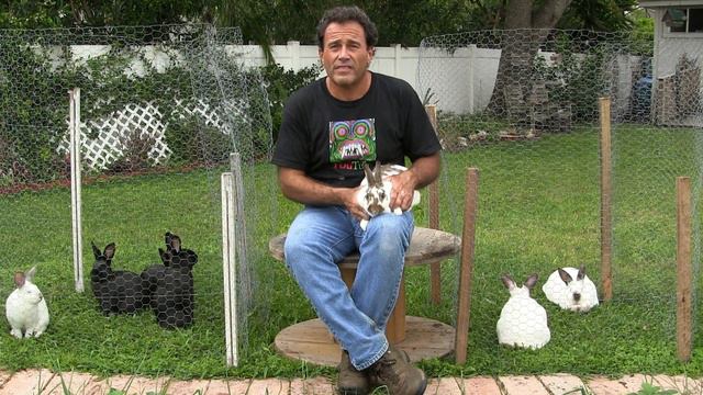 GinosGardens Intro.. with Rabbits & Tropical & Fruit Trees #23