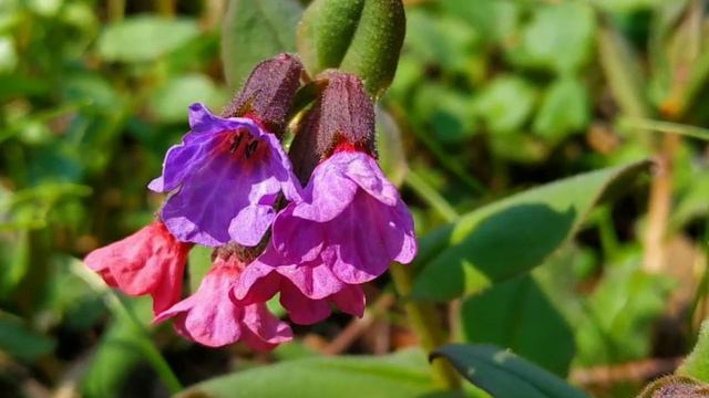Красногорск 2019 смотреть онлайн