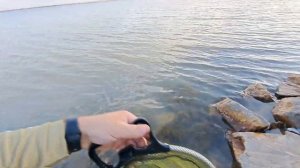 За сомом на Маныч!!!