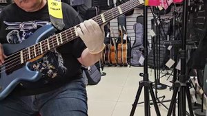 Fridrik Karlsson - Dream Away (Бас кавер)