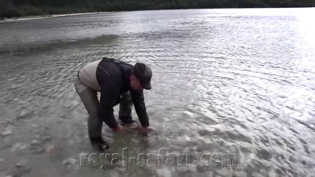 Рыбалка нахлыстом на Аляске с Royal Safari