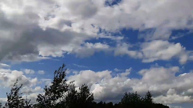 🎬ВЛОГ С ДАЧИ|СЕЛЬСКАЯ ЖИЗНЬ ПРИСТАВУЧЕЙ БАБКИ🏡