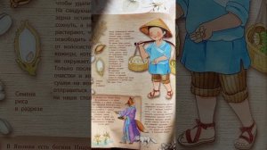 История риса для детей.