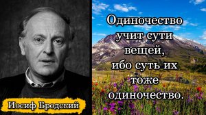 Иосиф Бродский. Одиночество учит сути вещей, ибо суть их тоже одиночество.