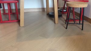 iRobot Roomba 880 died in 5 mins