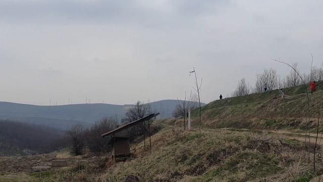 В Сукок за зелёной самсой. Кок самса в Паркентском районе Узбекистана. Март 2020 смотреть онлайн