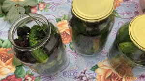 НОВИНКА !!! МАРИНОВАННЫЕ ОГУРЦЫ С ЕЖЕВИКОЙ НА ЗИМУ!!!
