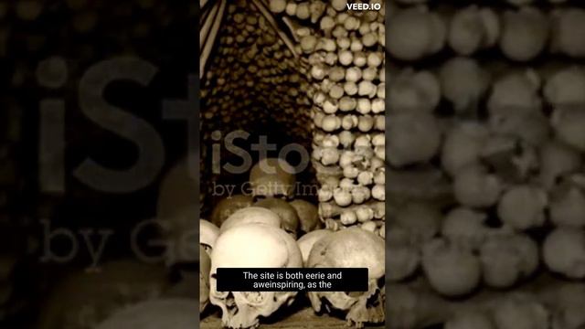 Journey into the Bone-Chilling Depths: Exploring the Catacombs of Paris