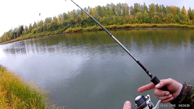 лемью130918язь10 смотреть онлайн