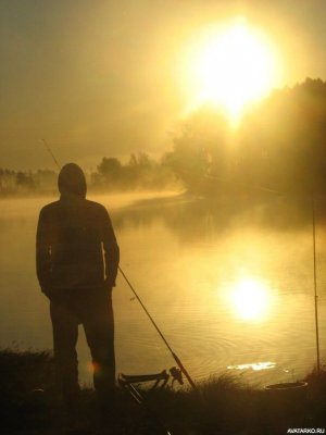 Рыбалка на Дону