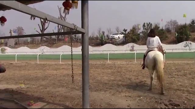 Long Legged Girl Equestrian Training смотреть онлайн