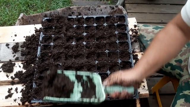 Клубника. Набивка кассет. смотреть онлайн