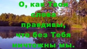 КОГДА В ТВОИ СЛОВА ВНИКАЮ (МИНУС) Христианские песни