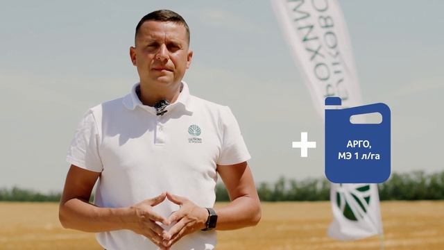 Агрополигон. Технология возделывания озимой пшеницы