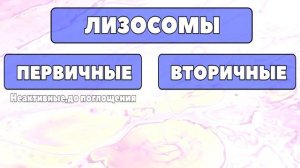 ЕГЭ-БИОЛОГИЯ.ОРГАНЕЛЛЫ КЛЕТКИ.ЛИЗОСОМЫ