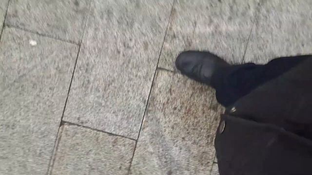 Голуби: самец добивается самок ) смотреть онлайн