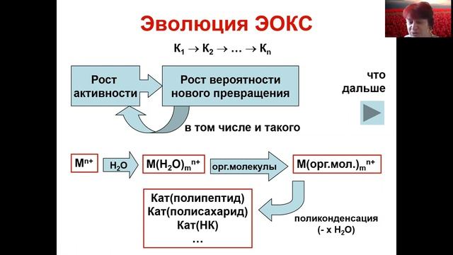 лекция 8,5 Катализ 2