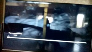 новый питомец муха прикол