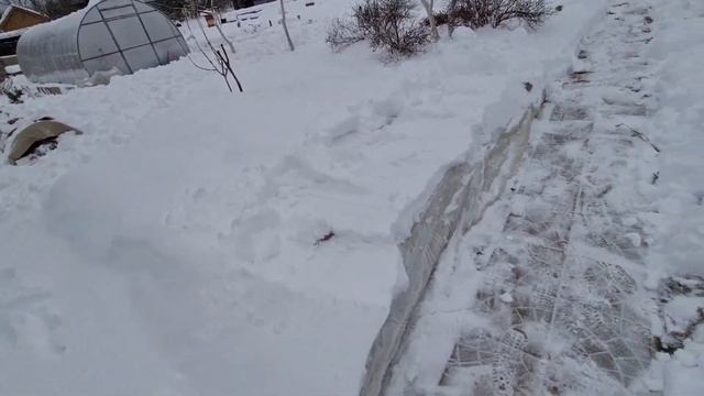 Поездка на дачу и чистка теплиц и укрытий роз от снега