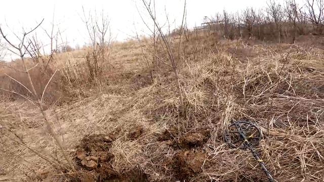 Металлокоп 2023 промзона #копметалла #коп #металлокоп #металлопоиск  #гдекопать