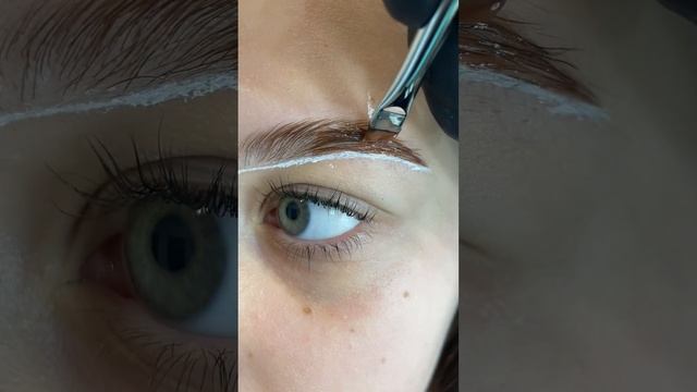 Ламинирование бровей ламинирование ресниц оформление бровей #browlamination #lashlifting