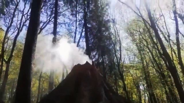 Дино-парк Янтарного периода.  Отрадное, Калининградская область