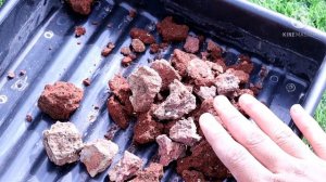 BRICK PIECES AS POTTING MEDIA || AK GARDENING PASSION.