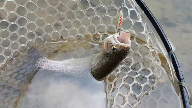 Форелевые блесны "SNAKE" (Ilba)