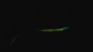 Люминофорный порошок от 4$/100грамм Украина Своими руками как сделать светящаяся краска