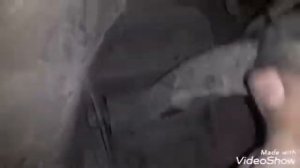 Nissan primera, ремонт передней подвески