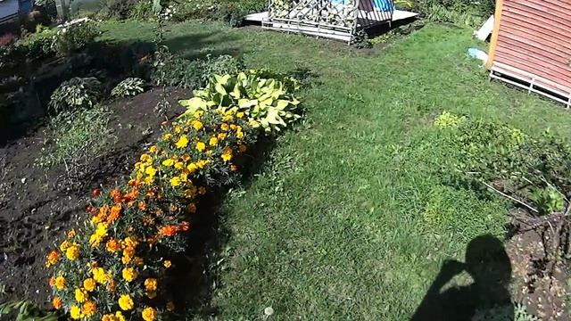 Повторила свой подвиг Большая прополка смотреть онлайн