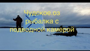 Чудское оз.Рыбалка с подводной камерой.
