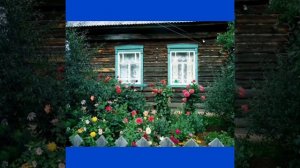 Лунный свет.